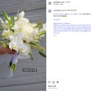 웨딩비르우엘