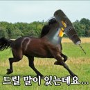 배민야채