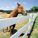 대치목장 이미지