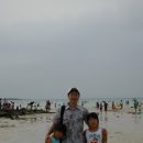 일성비치콘도미니엄 이미지