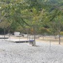 방태산솔마루캠핑장 이미지