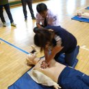 횡계초등학교 이미지