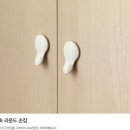 보르네오가구영주