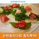 참치다컴 이미지