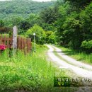 마노힐링캠프 이미지