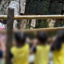 인어바위 인근 2 | [경기/일산]일산 아쿠아플라넷 아이와 함께 가기 좋은 실내데이트 장소