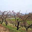 신음동네길 이미지