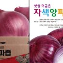 양파스토어