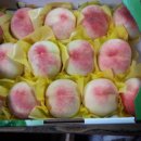 청수농원 이미지