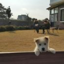 인연펜션 네이버블로그