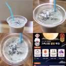 별빛마을리조트 이미지