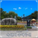 새고향공원 | 대구 달성 옥연지 송해공원 주차 초여름 가볼만한곳 백세정 산책