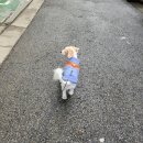 세교8길 이미지