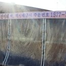 현선이네 - 고양시 일산동구 정발산로 24 | 현선이네