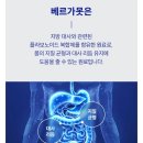 일라이코리아베르가록신 섭취솔직후기/요즘 컨드션 관리 루틴공개합니다.