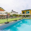 더마루 | 더마루 펜션 후기｜애견 동반 가능한 가평 독채 풀빌라 정보 정리