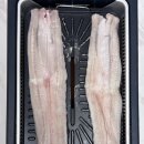 맛장어먹는날 | 집에서 먹는 조선장어 자포니카 국산 민물장어 후기