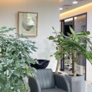 모텐셜의원 이미지