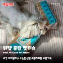 위랩 네이버블로그