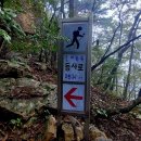 낙조대 Daum카페