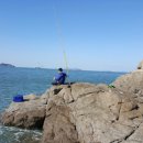 학암포 분점도 이미지