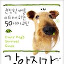 순진한 강아지 이미지