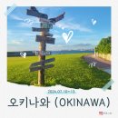 (주)성홍 안산터미널주유소 | 오키나와 3박4일 자유 여행 준비 항공사 경비 유심 국제운전면허증 발급 빌린다 렌트카 업체 비용 정리