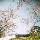 경포호수 4 이미지