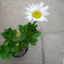 병국농장 이미지