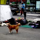 노숙자와 유전적 경향성 Homeless Bums are Swept by Tendency 이미지