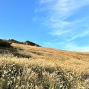 간절곶사슴농장 | 울산 초보 등산 코스 데이트 영남알프스 간월재