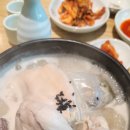 강변보양탕 | 복날 보양식으로 추천! 하남 오벨리스크 '지호 한방삼계탕' 방문 후기