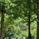 큰맘할매순대국 영월남면점 이미지