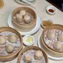 살롱드현지 | 강남 신세계백화점 맛집 홍콩식 중식당 살롱드호우섬 후기