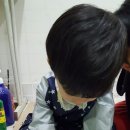 성준 농장 Daum카페
