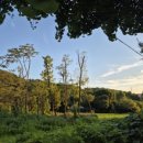 지올리브펜션 이미지