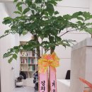 경희모세한의원 이미지