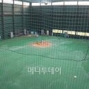 NH인재원야구장 Daum카페