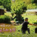 병욱농장 네이버블로그