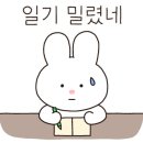 하이원 그랜드호텔카지노 이미지