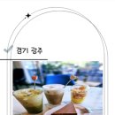 정아애견 이미지