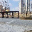 한들물빛도시 하늘채아파트 앞 이미지