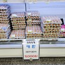 장항양계 이미지