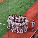 6월7일(토) 4시 30분 ⚾️키움:LG 🥎고척 스카이돔 야구장🍗🍺🍻🍱 응원하고 치맥해요~~ 이미지