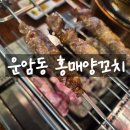 양꼬치집인데 볶음밥에도 진심인 운암동홍매양꼬치