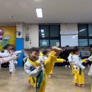 경희대정석태권도 네이버블로그