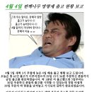 1,400원 편백나무 방향제 판매상황 이미지