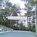 내원정사유치원 이미지