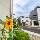 백록초등학교 이미지