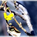 봄과가을이 이미지